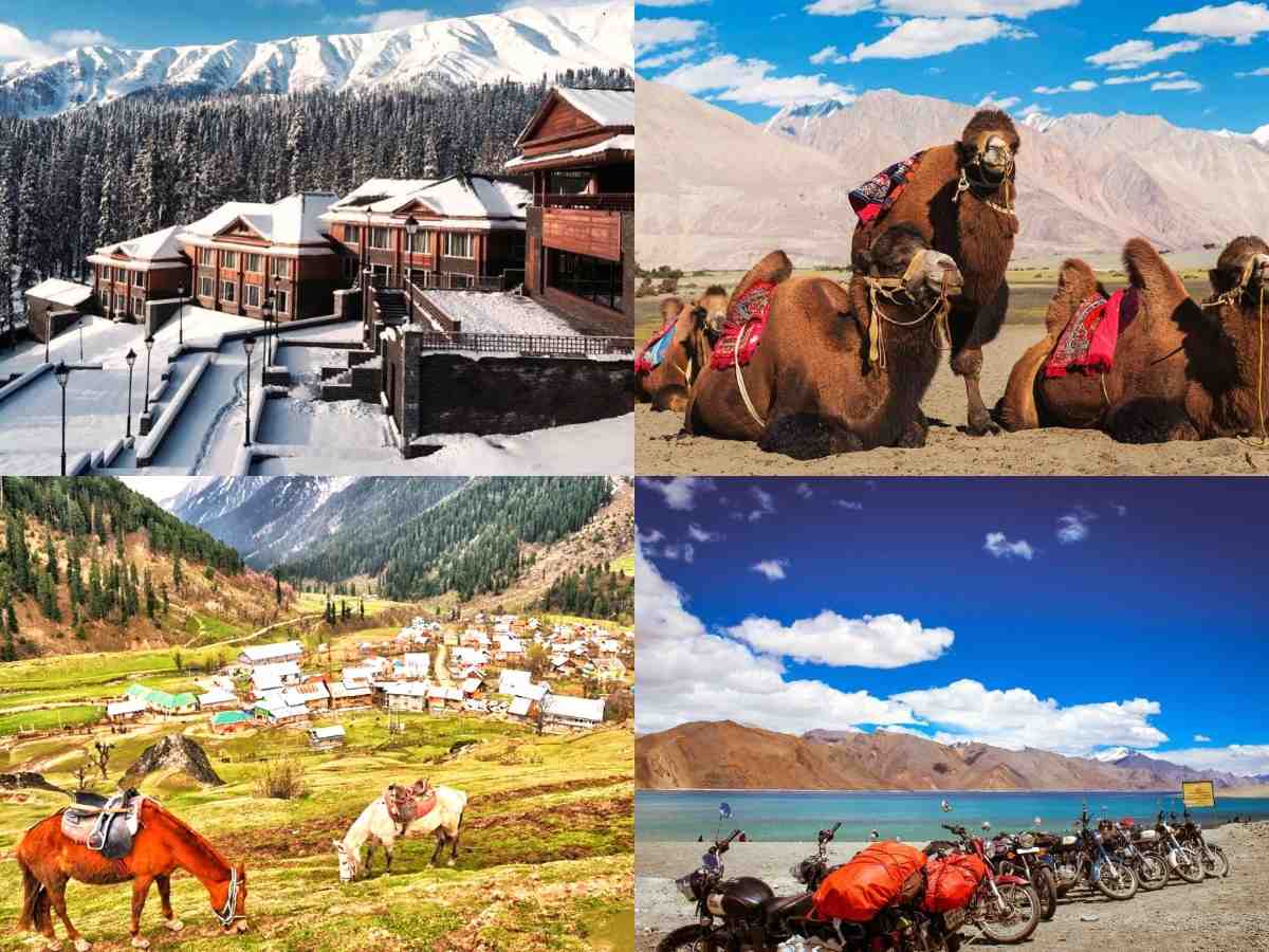 splendour of ladakh image