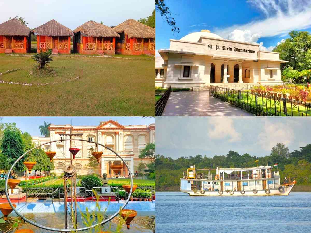 mysterious sundarban tour package image