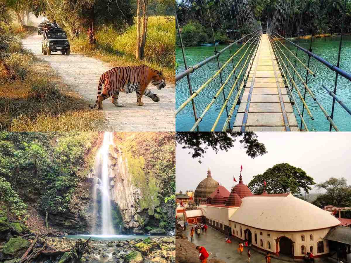 kaziranga tour package for 4d/ 5n image